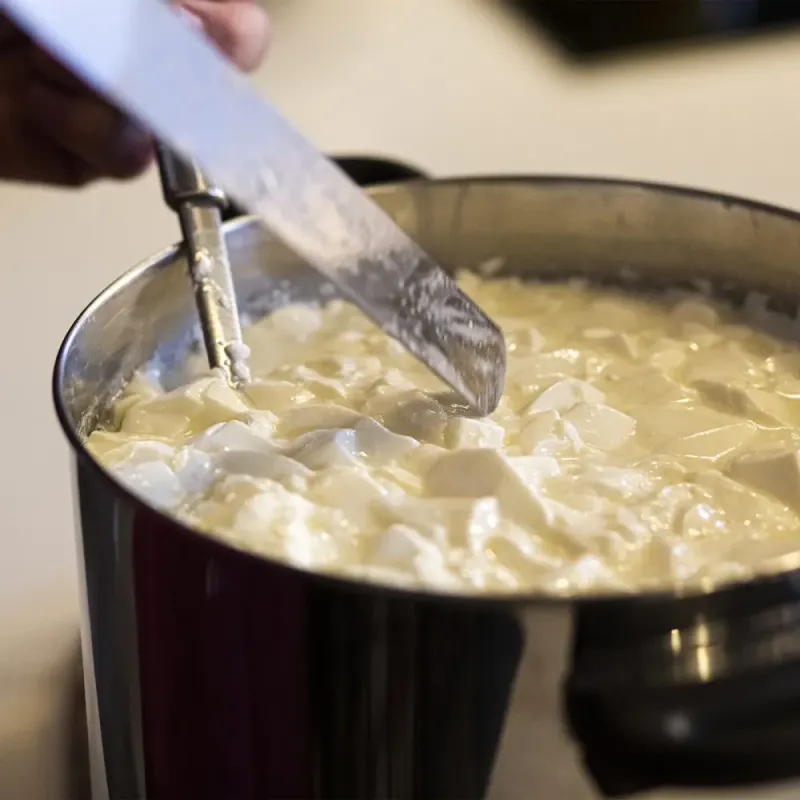 Mikrobiell Ostepulverløpe 5x1 g - løpe til ost